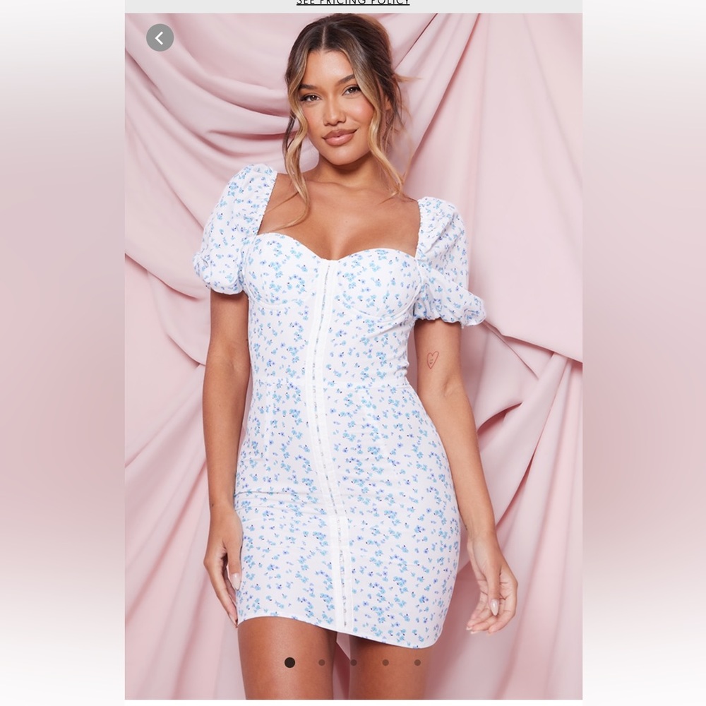 PrettyLittle Thing Floral dress in Size 4